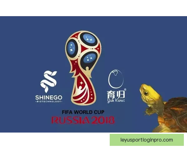 围绕世界杯竞猜投注规则全面解析玩法策略与风险提示指南实用参考